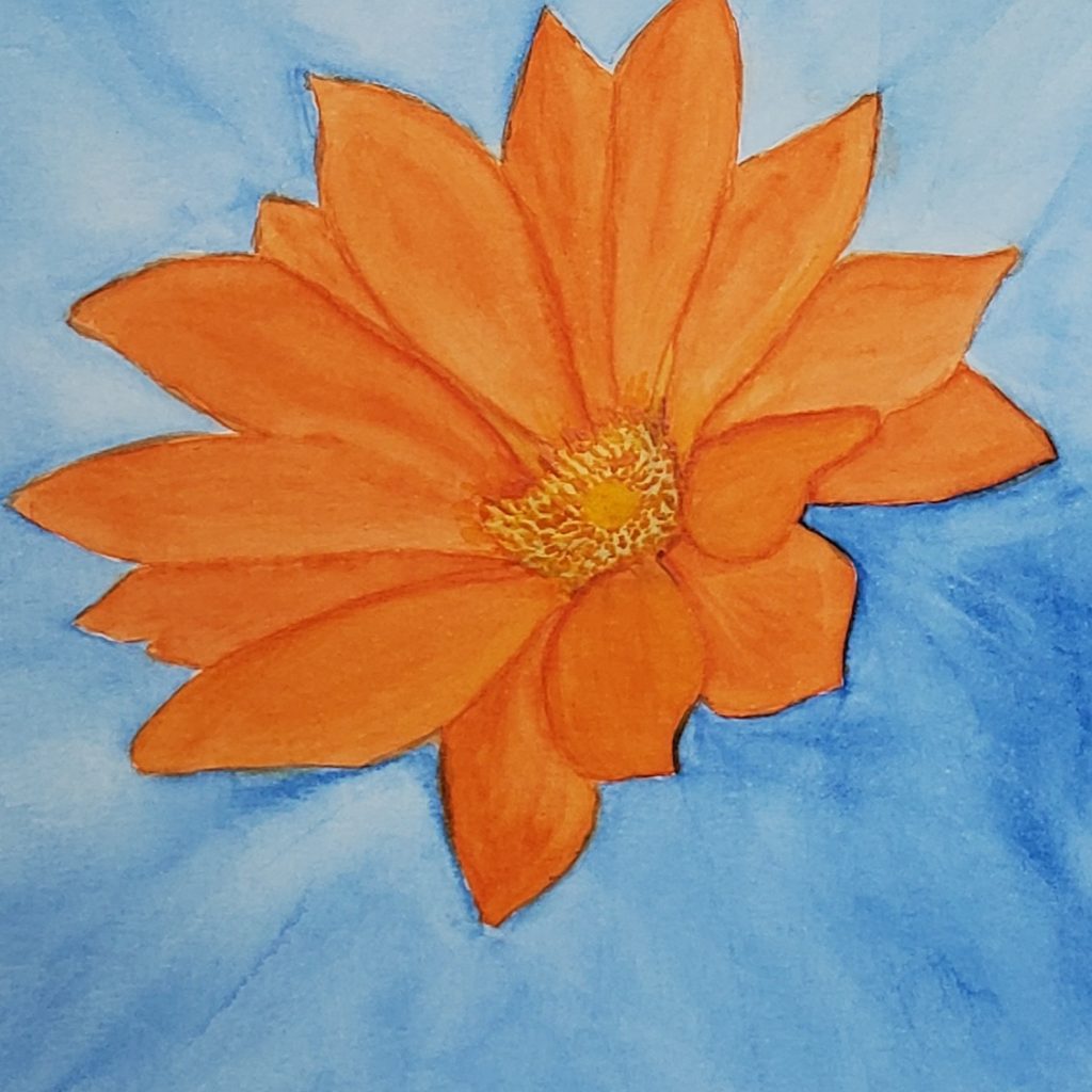 Sandra Woods Flower Sun Postcard