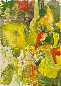 Marianne VanDerVeer Postcard