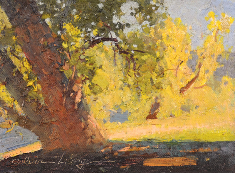 Calvin Liang's LPAPA Strong Painted Postcard