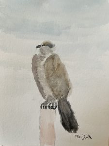 LPAPA Artist Member Yvette Alvarado