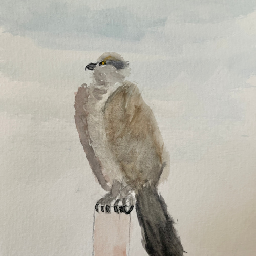 LPAPA Artist Member Yvette Alvarado