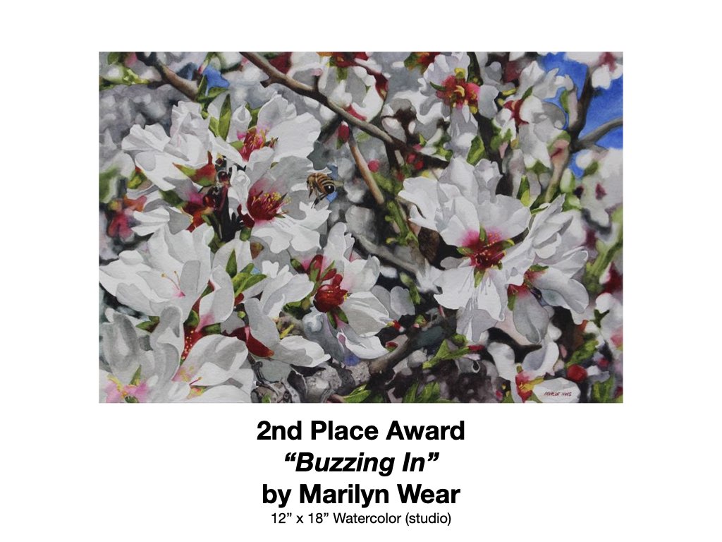 LPAPA's 2024 Waterworks Award Winners