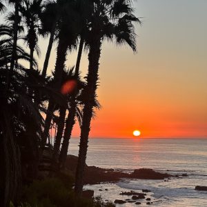 Cali Sunset Paint Party with LPAPA Signature Artist Debra Huse